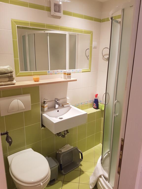 Apartments Mirela Gradac  Bagian luar foto